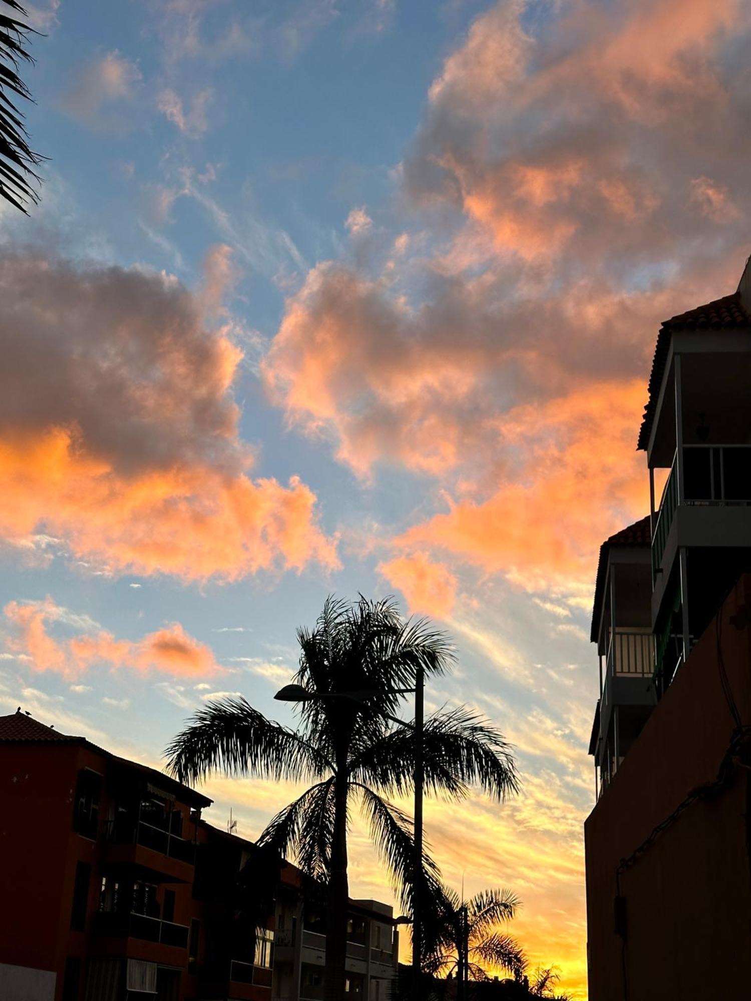 Tenerife Holidays Costa Adeje Dış mekan fotoğraf