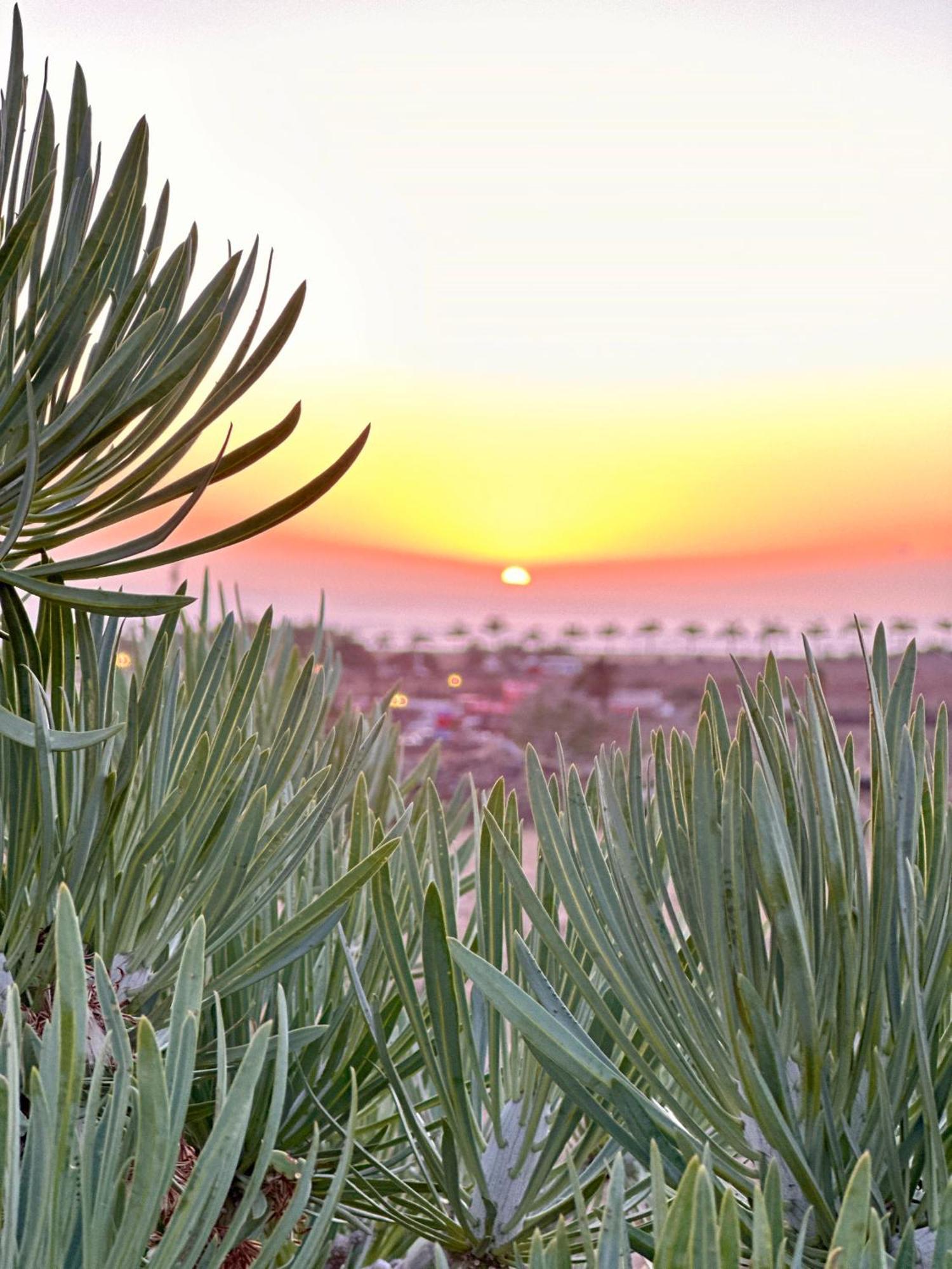 Tenerife Holidays Costa Adeje Dış mekan fotoğraf